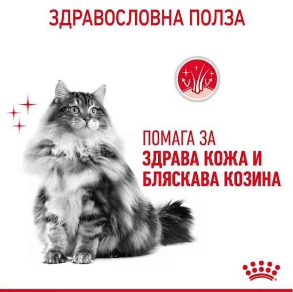 Royal Canin Cat Hair and Skin Care - Пълноценна суха храна за котки за здрава кожа и бляскава козина